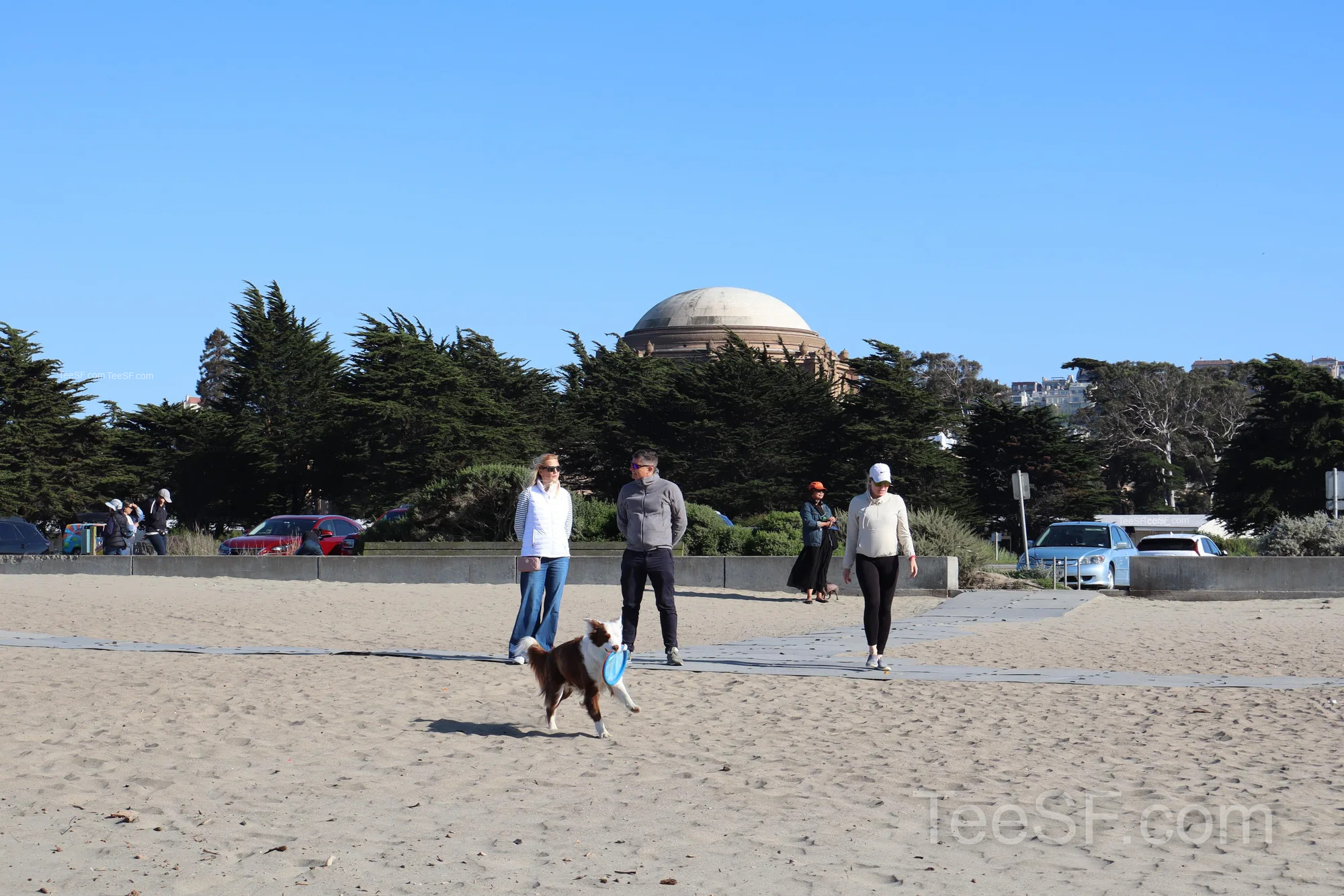 golden Gate Beach Dog And People during a Stripe Sessions 2026 visit in San Francisco.